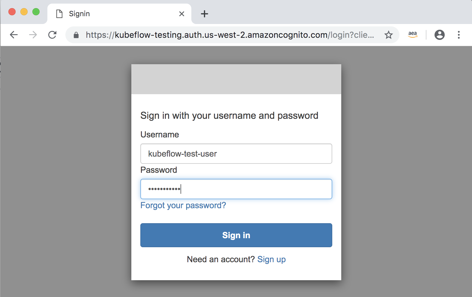 Cognito Authentication pop-up